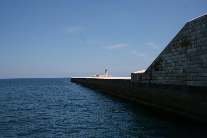 IMG_5259 IMG_5259
